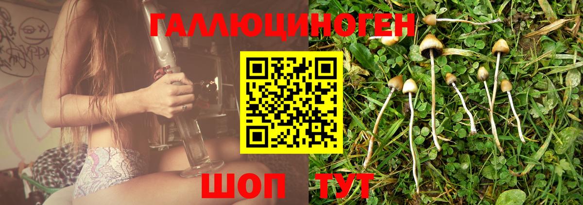 Галлюциногенные грибы Magic Shrooms Канаш