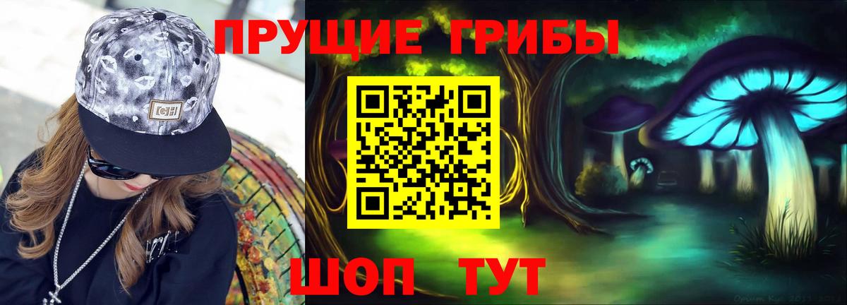 Канаш  Галлюциногенные грибы Psilocybine cubensis  Вход с VPN 